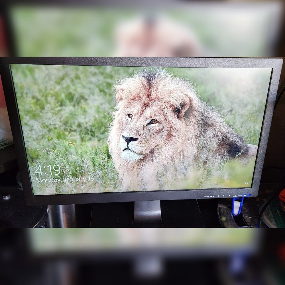 20" FHD Pro-Grade IPS Monitor